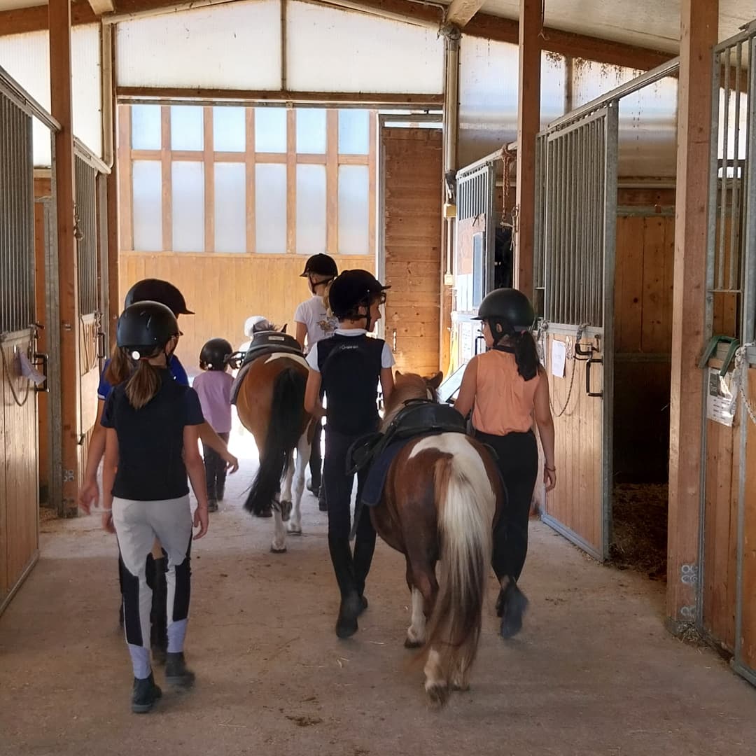 Bambini e pony all'interno della scuderia del Circolo Ippico Tara